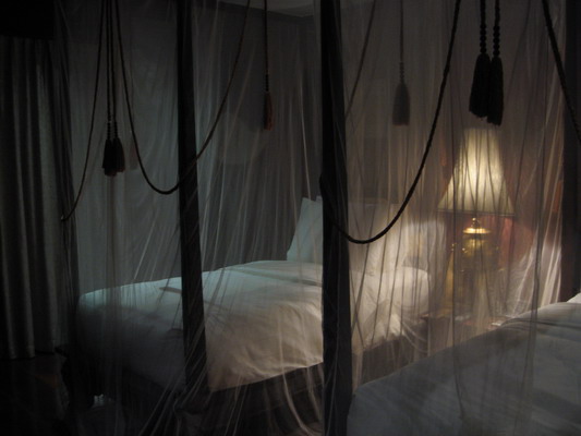 img_5803_resize_8544.jpg
