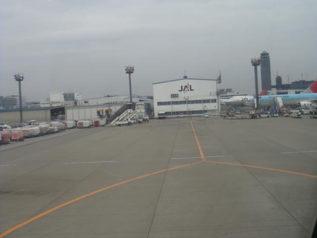 DSC01677.JPG