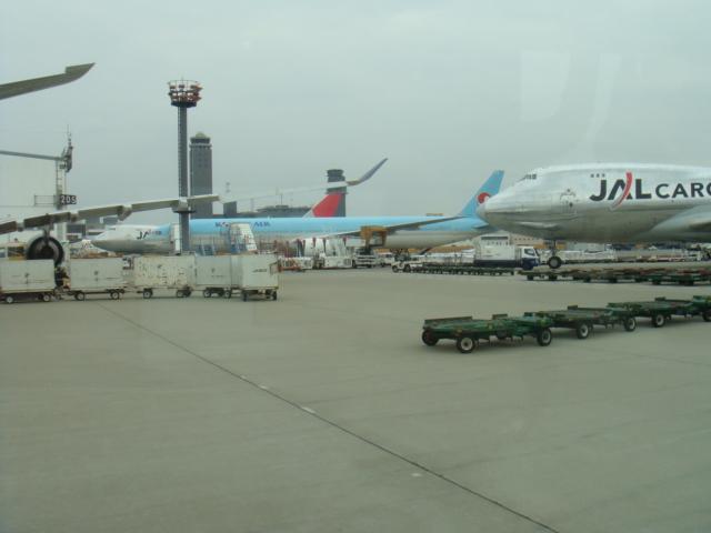 DSC01683.JPG
