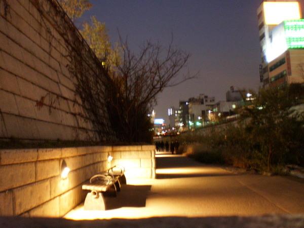 PB200119.JPG