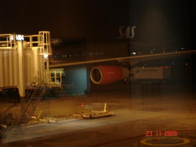 DSC03943_resize.JPG