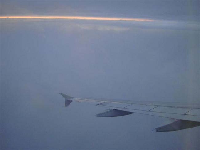 DSC01806 (Large).JPG