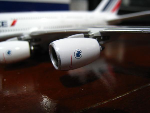 IMG_5335_resize.JPG