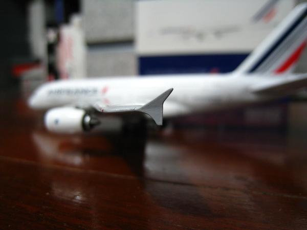 IMG_5336_resize.JPG