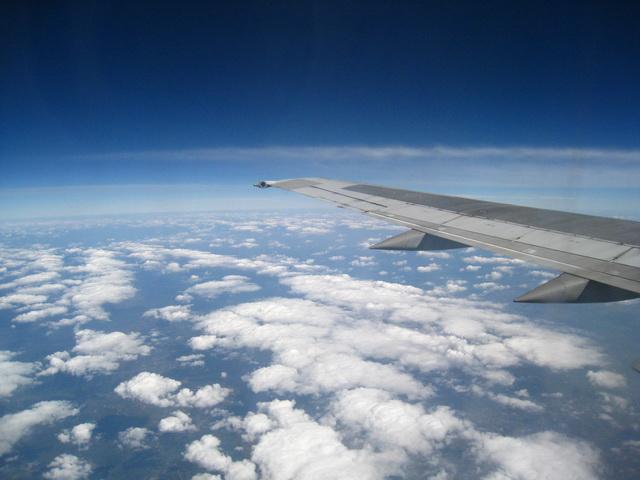 IMG_5584_resize.JPG