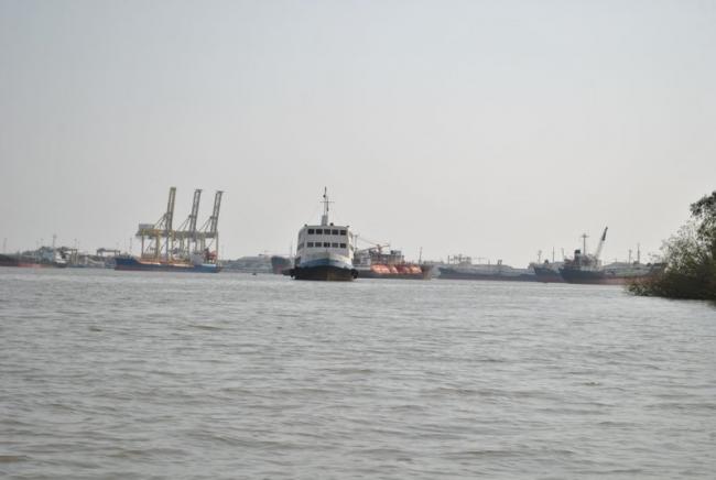 DSC_1371.jpg