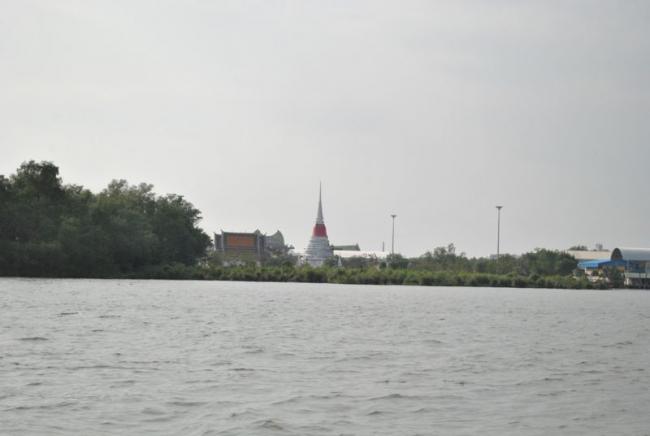 DSC_1398.jpg