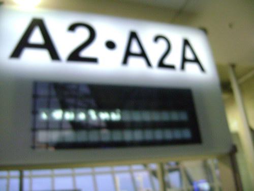 DSC01808_resize.JPG