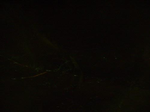 DSC01852_resize.JPG