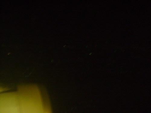 DSC01854_resize.JPG