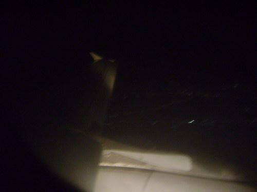 DSC01855_resize.JPG