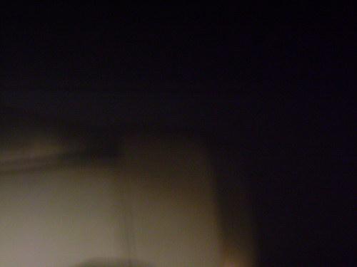 DSC01858_resize.JPG