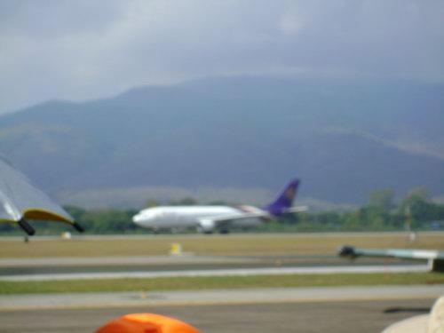 DSC02020_resize.JPG