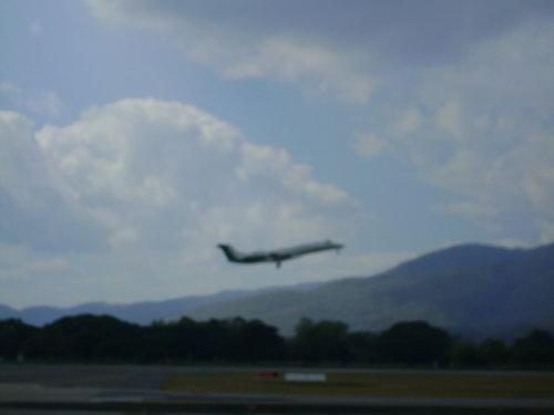 DSC02067_resize.JPG