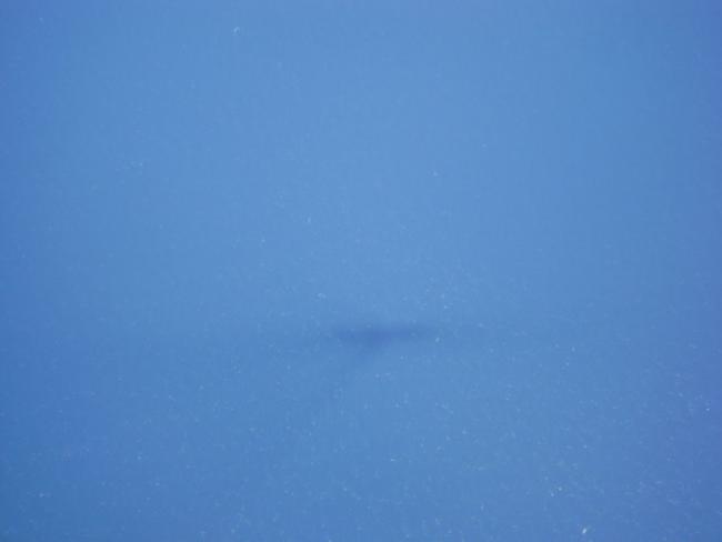 DSC06689_resize.JPG