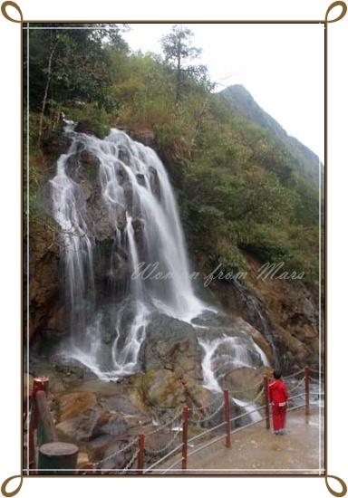 r-sapa009.jpg