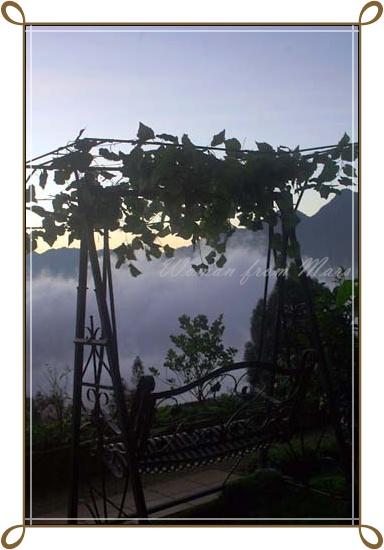 r-sapa023.jpg