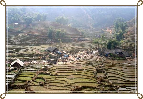 r-sapa025.jpg