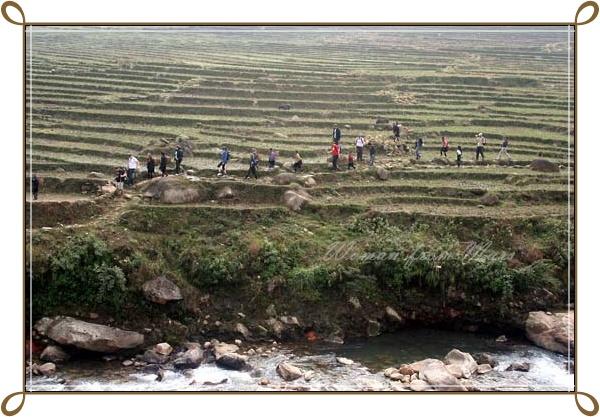 r-sapa026.jpg