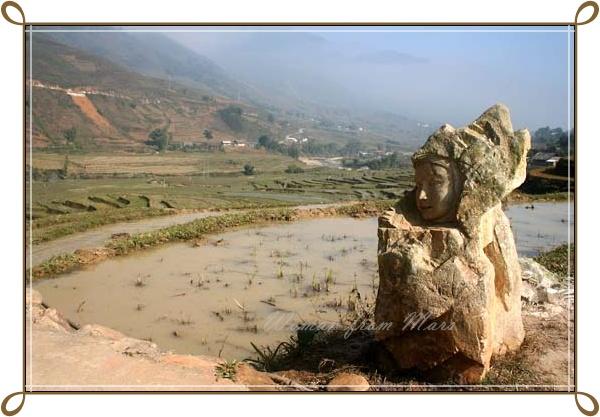 r-sapa029.jpg