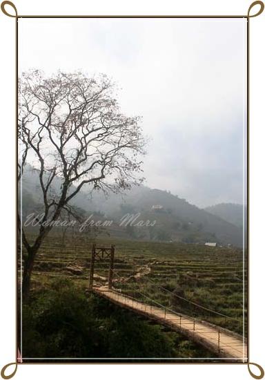 r-sapa034.jpg