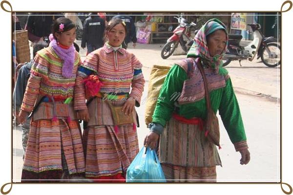 r-sapa039.jpg