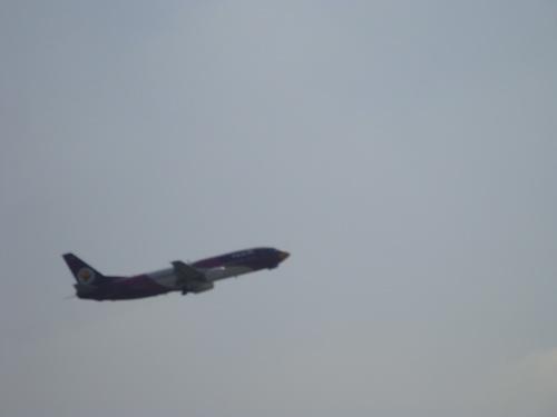 DSC00731_resize.JPG