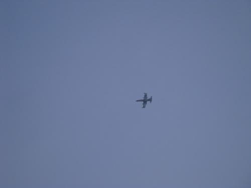 DSC00734_resize.JPG