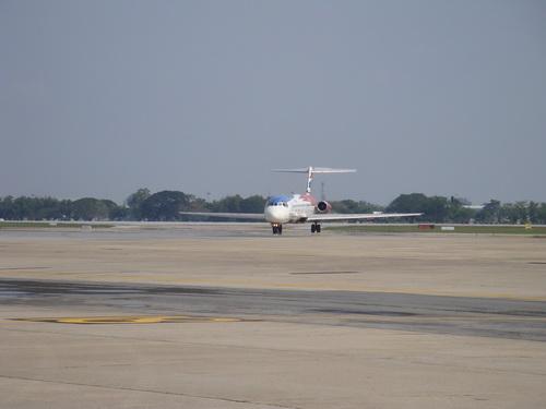 DSC00742_resize.JPG