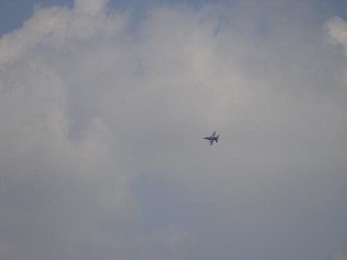 DSC00750_resize.JPG