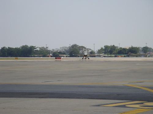 DSC00753_resize.JPG
