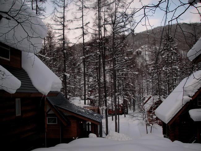 PICT1006.jpg