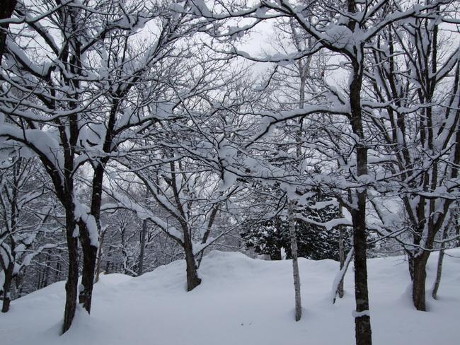DSCF1394.jpg