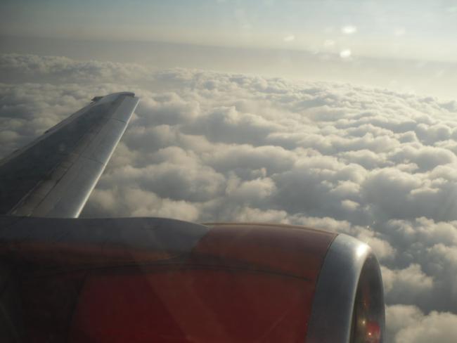 SDC10793_resize.JPG
