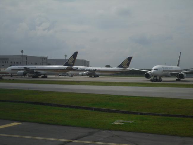 SDC11325_resize.JPG