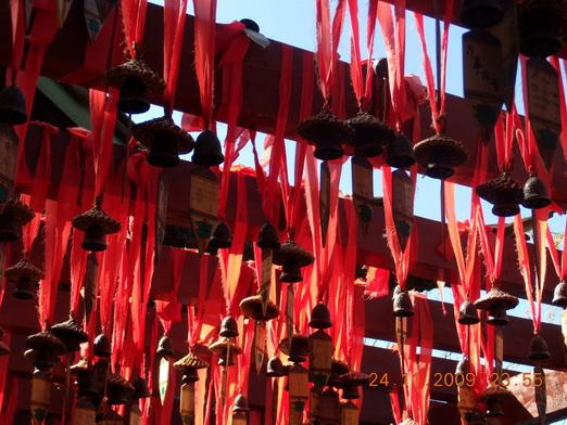 Yunnan 354_resize_resize.jpg
