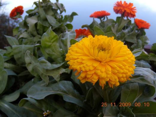Yunnan 362_resize_resize.jpg