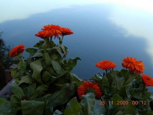Yunnan 365_resize_resize.jpg