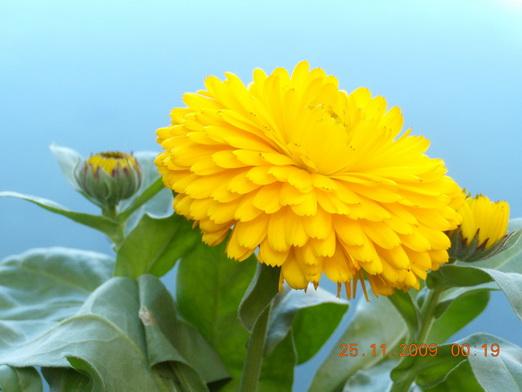 Yunnan 369_resize_resize.jpg