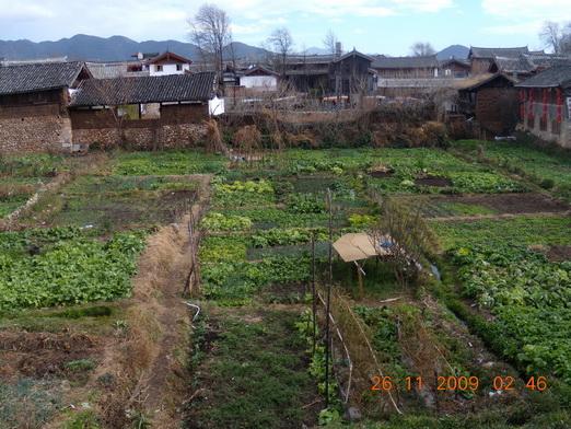 Yunnan 515_resize_resize.jpg