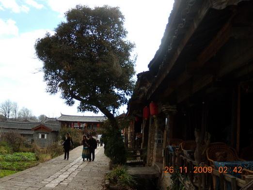 Yunnan 510_resize_resize.jpg