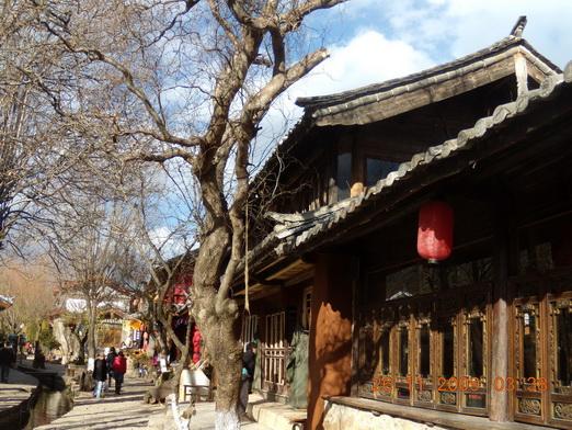 Yunnan 578_resize_resize.jpg