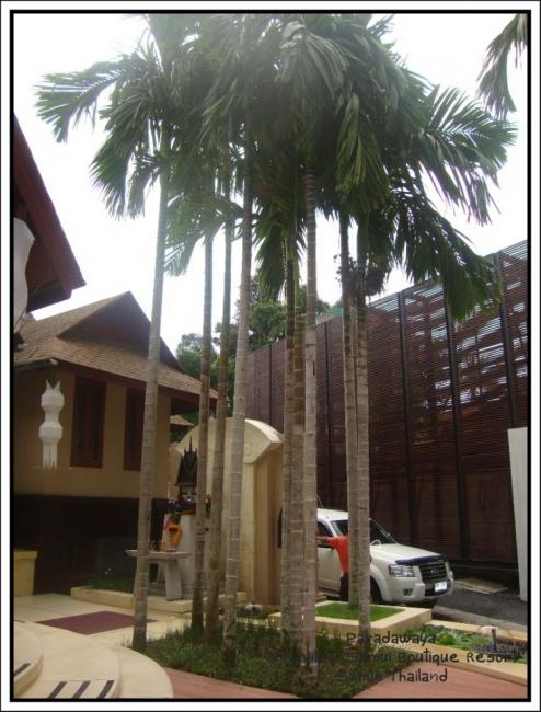 Pavilion Samui 0003.jpg