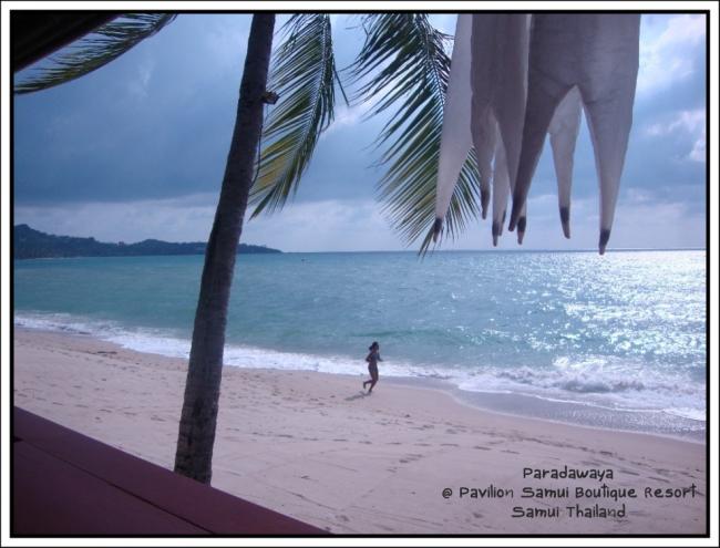 Pavilion Samui 0085.JPG