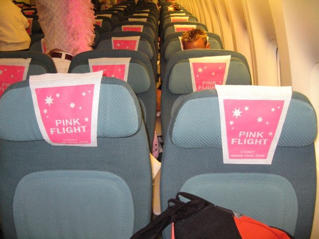 pink_flight_11.jpg