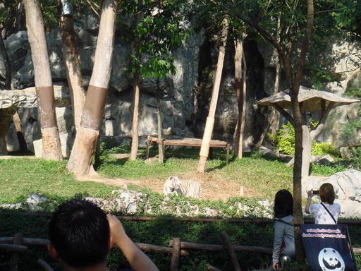 DSC05376.jpg