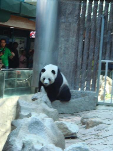 DSC05386.jpg