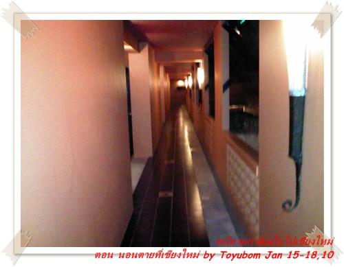 cnx24.jpg
