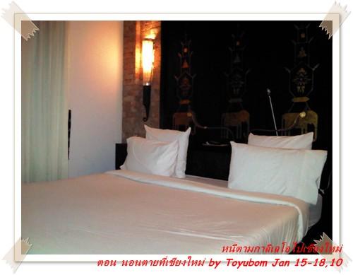 cnx26.jpg