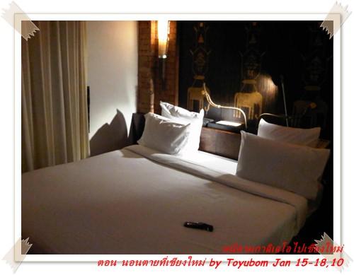 cnx29.jpg